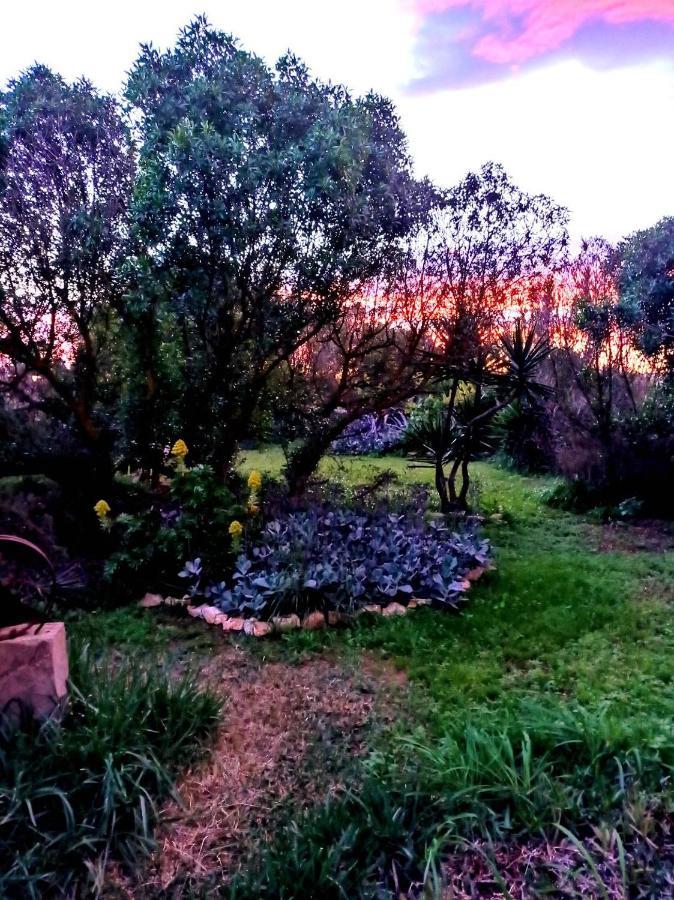 Arthouse Campos Mit Haus Galeria 110Qm Und Appartementhaus Mit Patio 30Qm Luaran gambar